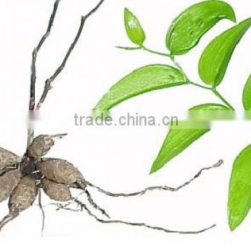 Superior Quality Smilax china Powder Sale