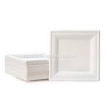 Biodegradable disposable square plates sugarcane bagasse fiber plate compostable plates