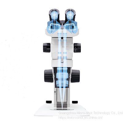 Scientific Grade Stereo-fluorescence Microscope MZX81 photo-3