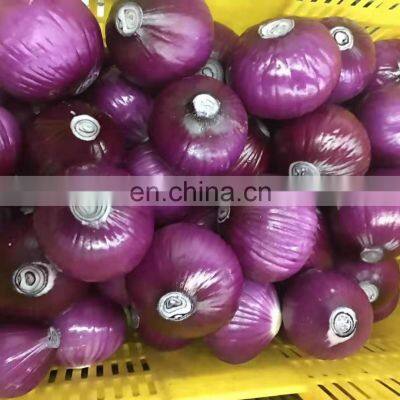 BRC A Approved High Quality Non-peeled Fresh Vegetable Red Onion From Sinocharm photo-3