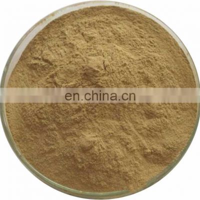 100% Pure Natural Gymnema Sylvestre Extract 25%Gymnemic Acid Gymnemic Acid Powder