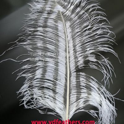 Burnt Ostrich Feather (spaced effect) From China