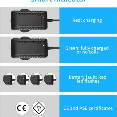 Intelligent 7.2V 8.4V 9.6V NIMH Battery Charger for 2-10S Airsoft Battery RC Car Battery With Standard Tamiya and Mini Tamiya Connector photo-3