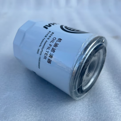 Hot Selling High Quality Fuel Filters 1000395855 Oil Filter for Wei Chai Top Construction Machinery Parts photo-5