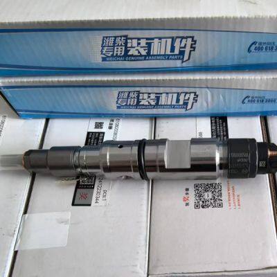 Baudouin 6M33G715 Детали двигателя Топливный форсунка 1001703128