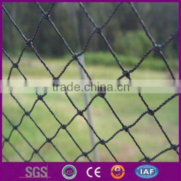 bird netting, bird net for catching bird, anti bird net