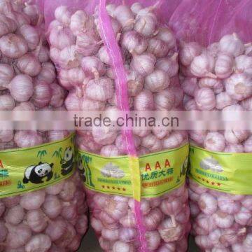 2016 new year garlic quality nice garlic,jinxiang normal white garlic