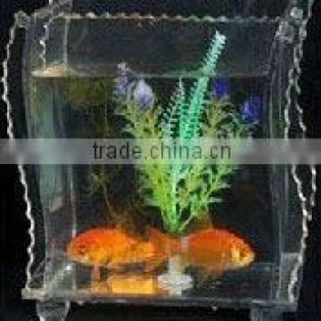 acrylic aquarium