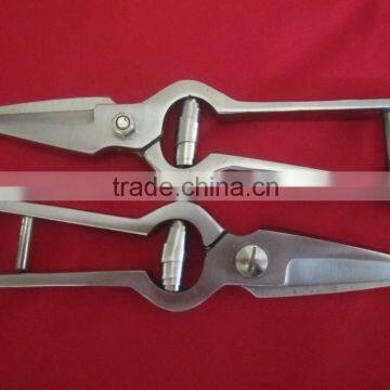 Foot Rot Shears Sheep shears hoof trimming scissors stainless steel Chrom Finish/VETERINARY INSTRUMENTS