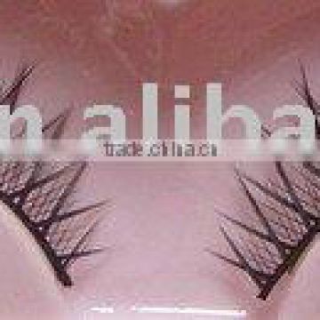 eyelash