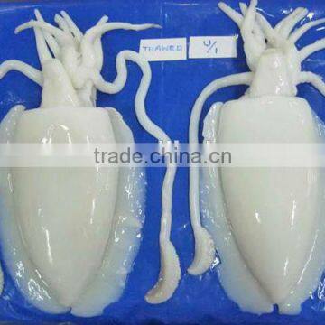 frozen baby cuttlefish whole clean