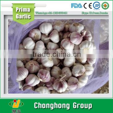 Jinnxiang White garlic factory directly supply 2016