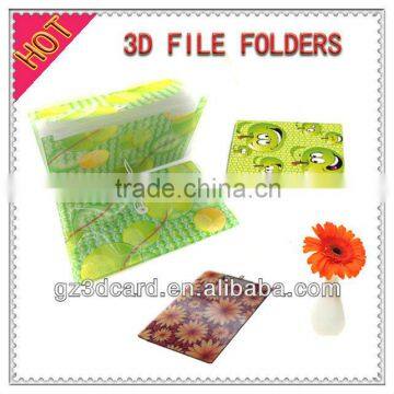 3D file folder Lenticular A4 file folder for school supplies