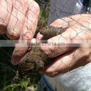 Extruded Plastic Bird Netting