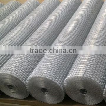 Electro Galvanized Welded Wire Mesh, cheap chicken wire coops guangzhou factory