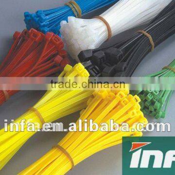 mounted hole cable tie pvc plastic cable ties