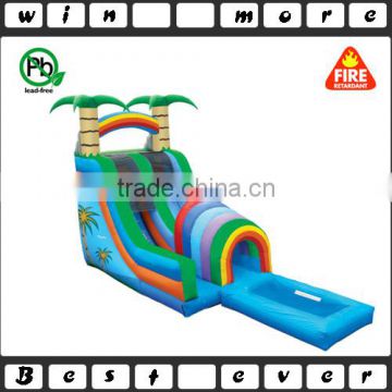 palm tree inflatable water slide for kids and adults,inflatable small pool water slide,rainbow big water slides for sale