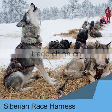 Wholesale Siberian Race Harness