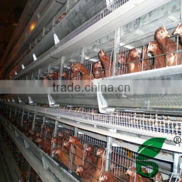 full equipped H type full-auto hen layer cage