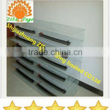 china Hot dip galvanized quail cage suppilers