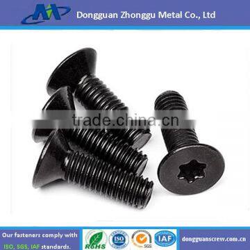 Dongguan Manufactory Countersunk Torx Screw