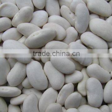 We are supply Large white kidney beans with best price for sale