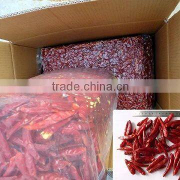 Chili Variety Yidu With Good Quality for Sale