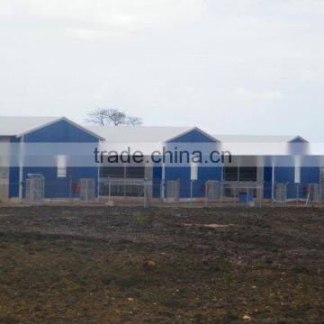 Steel Structure Building photo-2