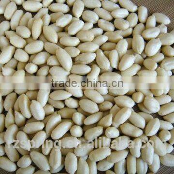 long type blanched peanut kernels 25/29