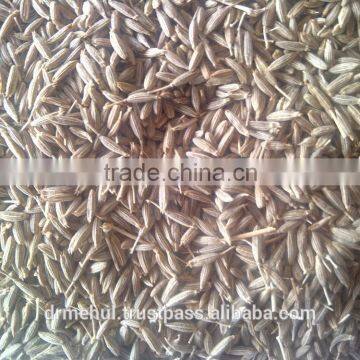 Cumin Seed Indian Origin photo-2