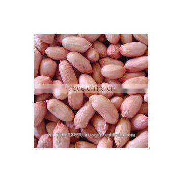 NEW CROP VIETNAM PEANUT / Vilaconic.export15@gmail.com