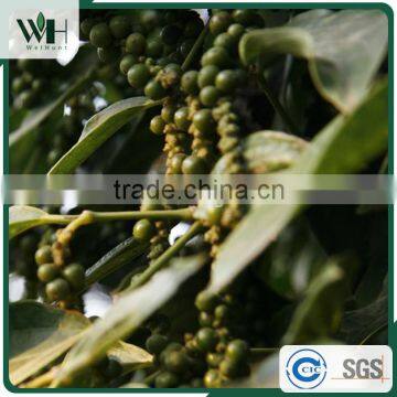 Vietnam Giant Spicy Raw Black Pepper 500gl photo-4