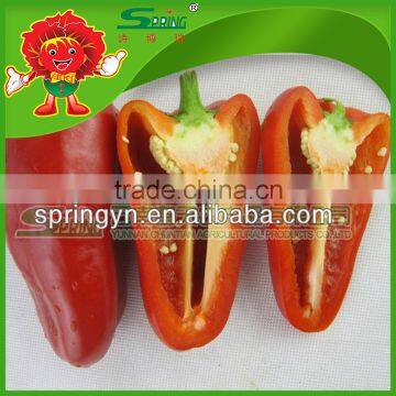 Not Hot Red Pepper Round Sweet Pepper photo-6