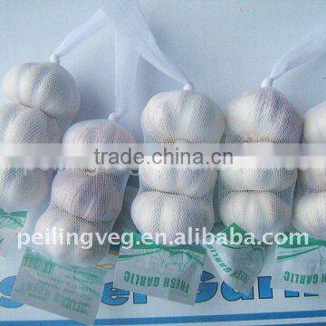 2011 normal white garlic(low price)