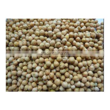 CHICKPEAS