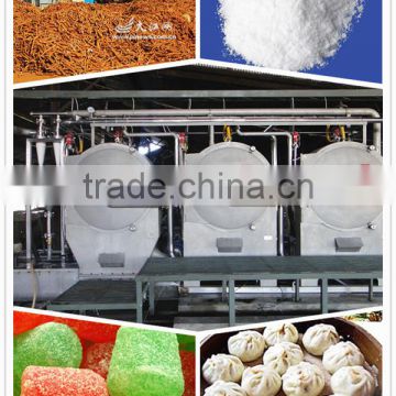 2016 Sino-German Modified Starch Processing Plant