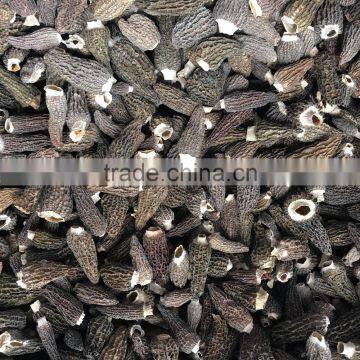 High Quality Dried Morels photo-2