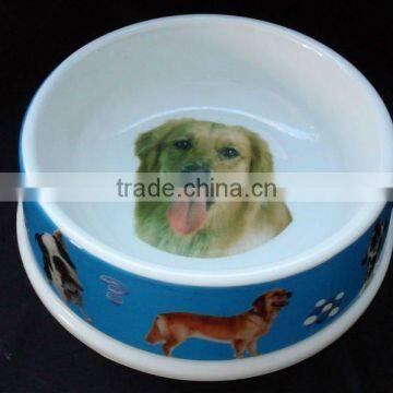 fashionable, colorful and high quality dog bowl