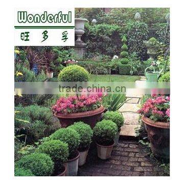 Soluble Organic Brown Seaweed Fertilizer,Plant Growing Agent for Plants Root Growth, Flowers Bloom