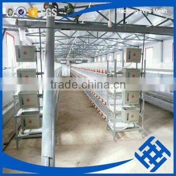 Wholesale Chicken Cage H Type Best Price Poultry Farm Egg Layer photo-2