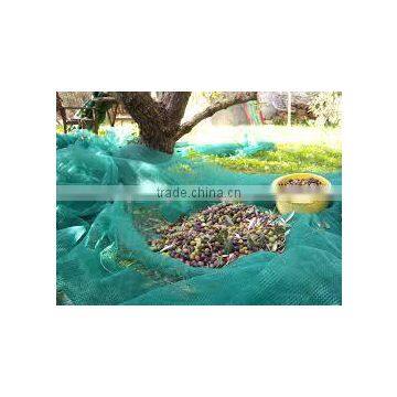 Collection Fruit Support Olive /cherry Packing Netting