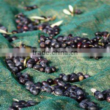 Collection Fruit Support Olive /cherry Packing Netting