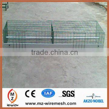 supply poultry cages( egg laying cages) for poultry farm