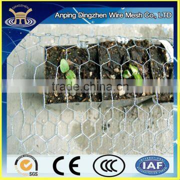 Cheap Hexagonal Hole Shape 1/2 inch chicken wire netting