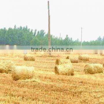 Agricultural Straw Baling Press photo-4