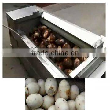 Wholesale Price Root Vegetable Peeling Machine With Washing Function photo-1