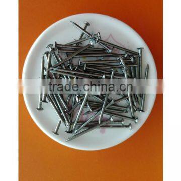 Common Nails/common Iron Nail Factory From China photo-5