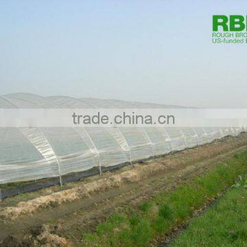 8m single span plastic film tunnel greenhouse