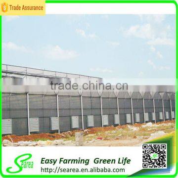 Hot Sale Commerical Glass Greenhouse Shade Green House Design photo-3