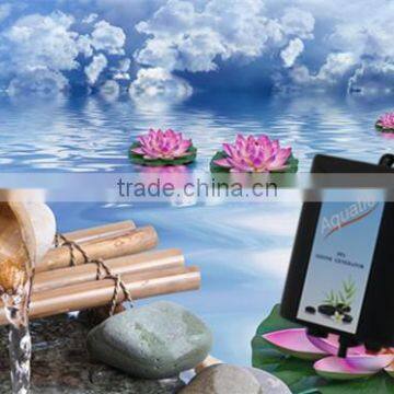 300 Mg/h Newest Version Hot and Cheap Portable Ozone System SPA With CE Certification photo-2